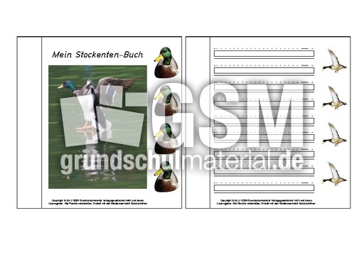 Mini-Buch-für-Lapbook-Stockente-A-1-3.pdf